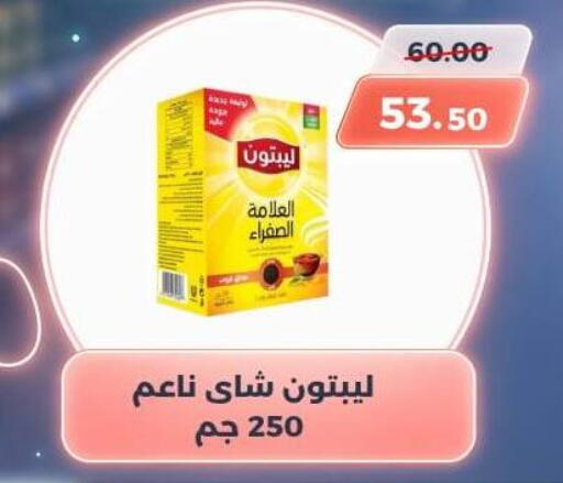 available at سوق الكانتو in Egypt - القاهرة