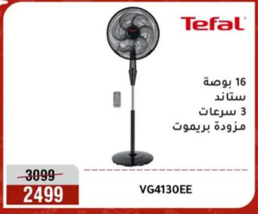 available at Al Morshedy  in Egypt - Cairo