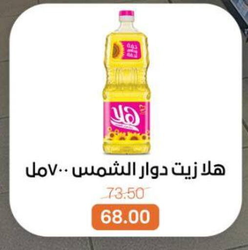 available at Beit El Gomla in Egypt - Cairo