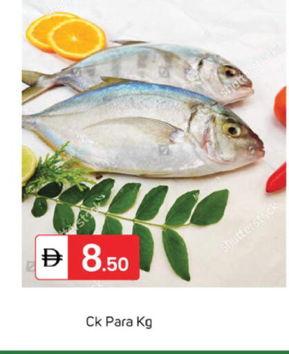 available at TALAL MARKET in UAE - Sharjah / Ajman