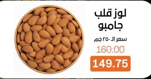 available at بيت الجملة in Egypt - القاهرة