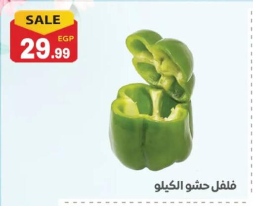 available at El mhallawy Sons in Egypt - Cairo