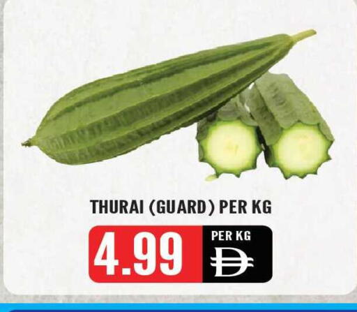 available at Dream Land in UAE - Sharjah / Ajman