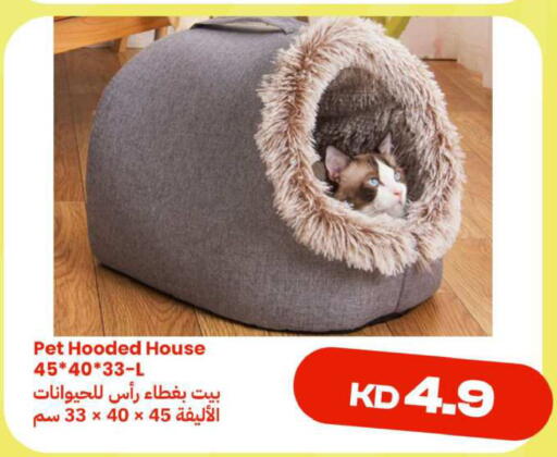 available at Taw9eel.com in Kuwait - Ahmadi Governorate