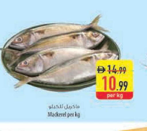 available at Safeer Market in UAE - Ras al Khaimah