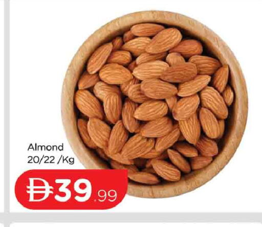 available at المدينة in الإمارات العربية المتحدة , الامارات - دبي