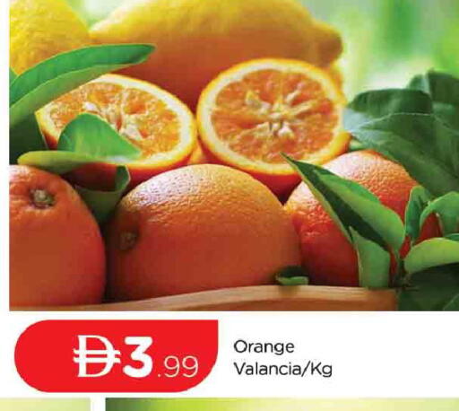 Orange from Valancia available at المدينة in الإمارات العربية المتحدة , الامارات - دبي