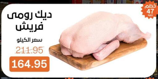 available at بيت الجملة in Egypt - القاهرة