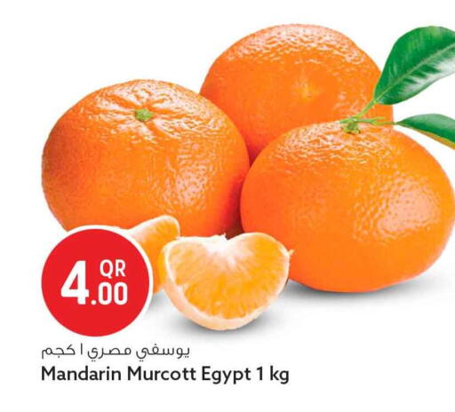Mandarin from Egypt available at سفاري هايبر ماركت in قطر - الشمال