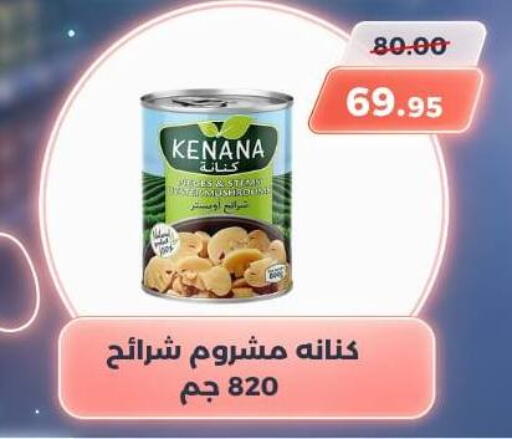 available at سوق الكانتو in Egypt - القاهرة