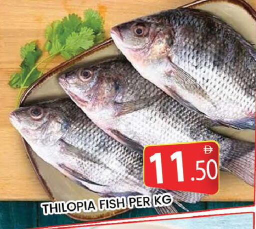 available at المدينة in الإمارات العربية المتحدة , الامارات - دبي