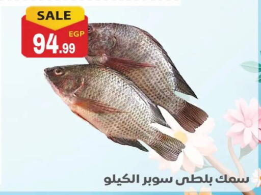 available at El mhallawy Sons in Egypt - Cairo