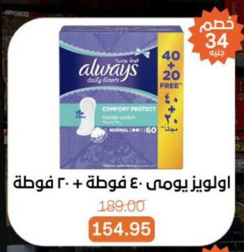 available at Beit El Gomla in Egypt - Cairo