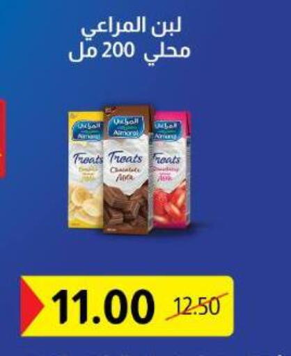 available at بيت الجملة in Egypt - القاهرة