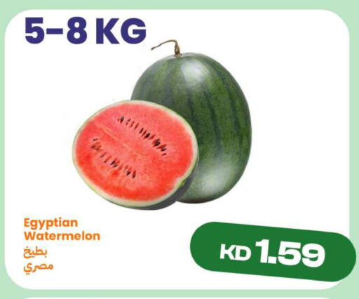 Watermelon from Egypt available at Taw9eel.com in Kuwait - Ahmadi Governorate