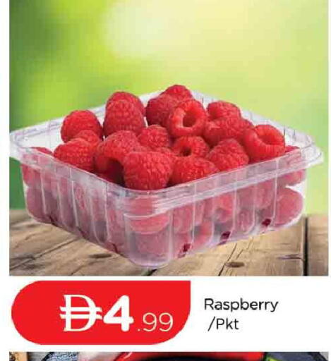 Raspberry available at المدينة in الإمارات العربية المتحدة , الامارات - دبي