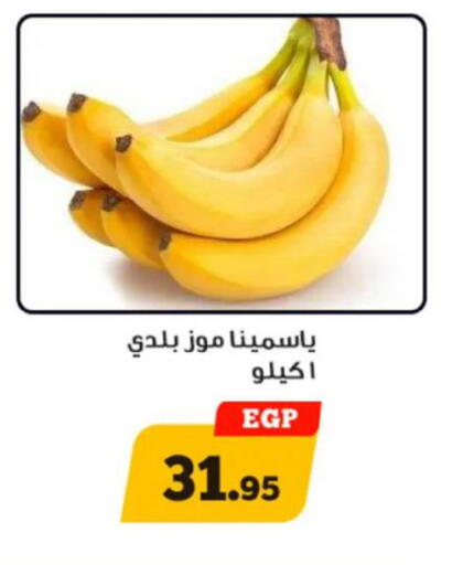 available at Awlad Ragab in Egypt - Cairo