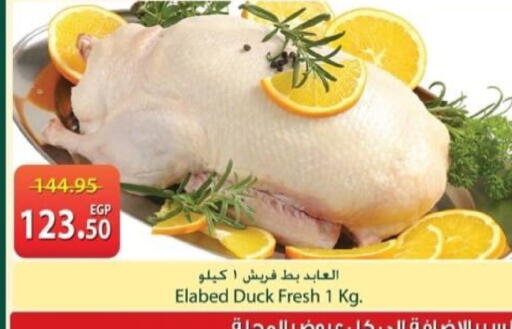 available at Spinneys  in Egypt - Cairo