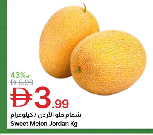 Melon from Jordan available at جمعية الامارات التعاونية in الإمارات العربية المتحدة , الامارات - دبي
