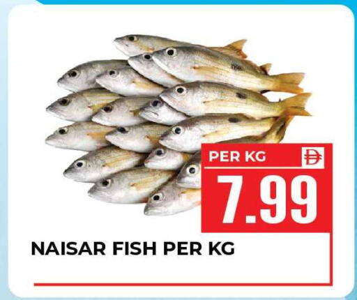 available at Dream Land in UAE - Sharjah / Ajman