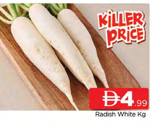 Radish available at المدينة in الإمارات العربية المتحدة , الامارات - دبي