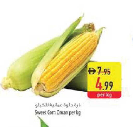 from Oman available at Safeer Market in UAE - Ras al Khaimah