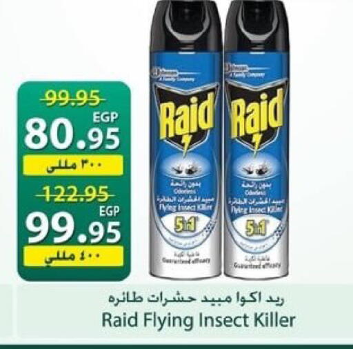 available at سبينس in Egypt - القاهرة