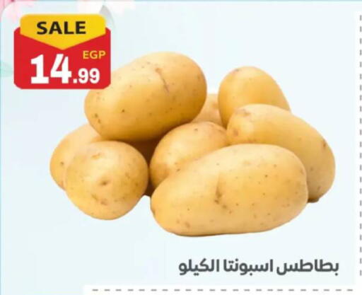 available at El mhallawy Sons in Egypt - Cairo