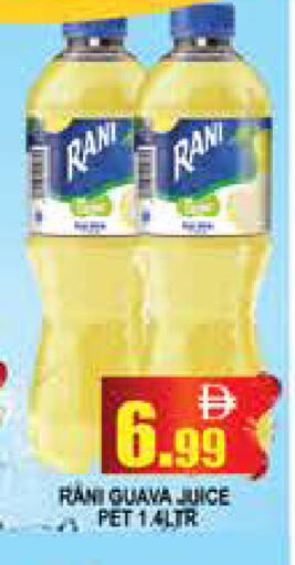 Guava available at المدينة in الإمارات العربية المتحدة , الامارات - دبي