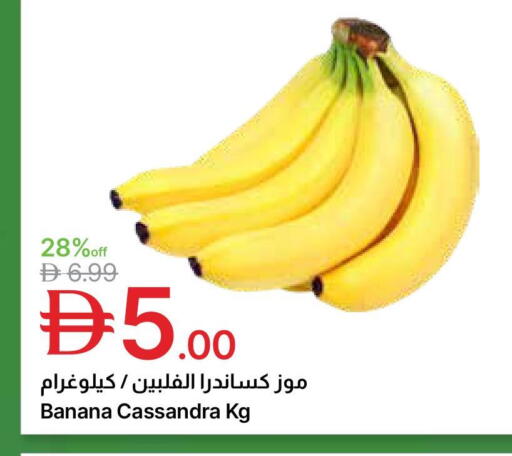 Banana available at جمعية الامارات التعاونية in الإمارات العربية المتحدة , الامارات - دبي