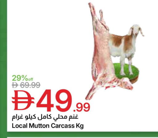 available at جمعية الامارات التعاونية in الإمارات العربية المتحدة , الامارات - دبي
