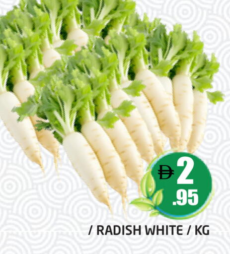 Radish available at Pasons Hypermarket in UAE - Dubai