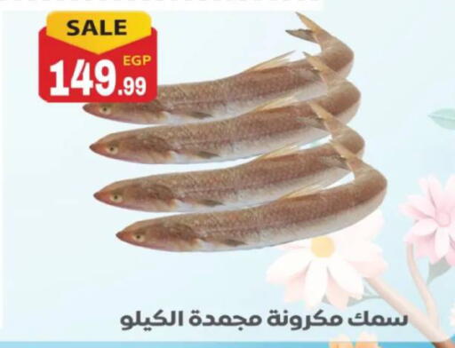 available at El mhallawy Sons in Egypt - Cairo