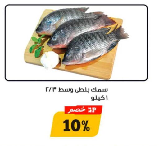 available at Awlad Ragab in Egypt - Cairo