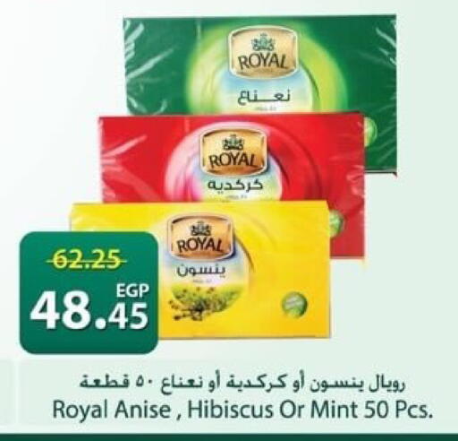 Anise Mint available at Spinneys  in Egypt - Cairo