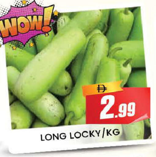 available at المدينة in الإمارات العربية المتحدة , الامارات - دبي