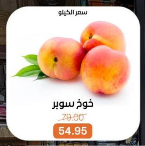 available at بيت الجملة in Egypt - القاهرة