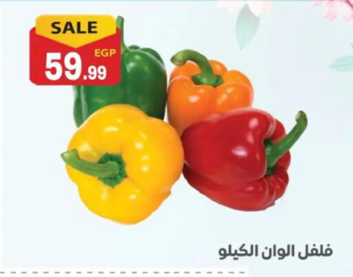 available at El mhallawy Sons in Egypt - Cairo