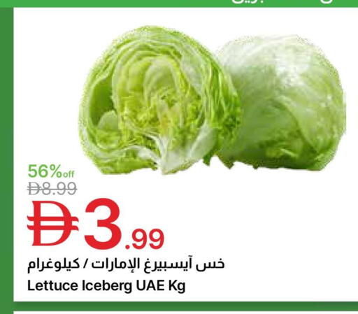 Lettuce available at جمعية الامارات التعاونية in الإمارات العربية المتحدة , الامارات - دبي