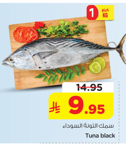 available at نستو in مملكة العربية السعودية, السعودية, سعودية - الخرج