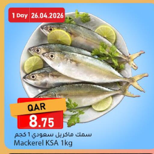 available at دانا ماركت in قطر - الريان