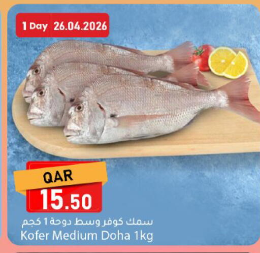 available at دانا ماركت in قطر - الريان