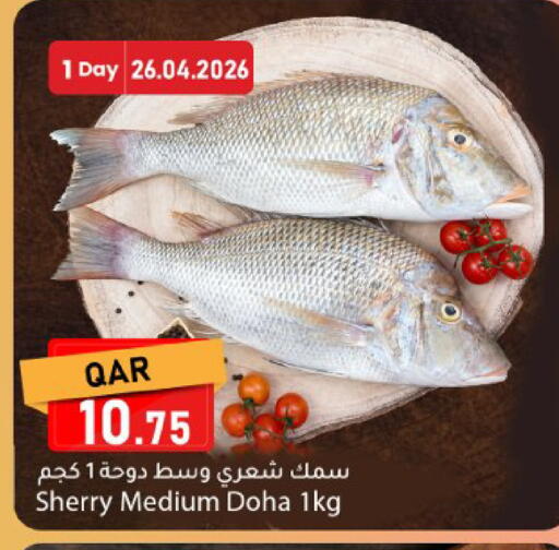 available at دانا ماركت in قطر - الريان