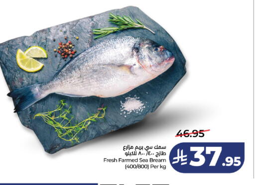 available at لولو هايبرماركت in مملكة العربية السعودية, السعودية, سعودية - تبوك