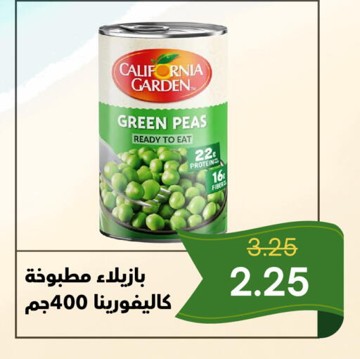 Peas available at العائلة الإقتصادية in مملكة العربية السعودية, السعودية, سعودية - ينبع