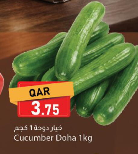 Cucumber from Qatar available at دانا ماركت in قطر - الريان