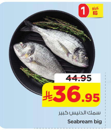 available at نستو in مملكة العربية السعودية, السعودية, سعودية - الخرج