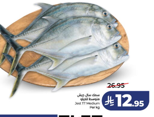 available at لولو هايبرماركت in مملكة العربية السعودية, السعودية, سعودية - تبوك