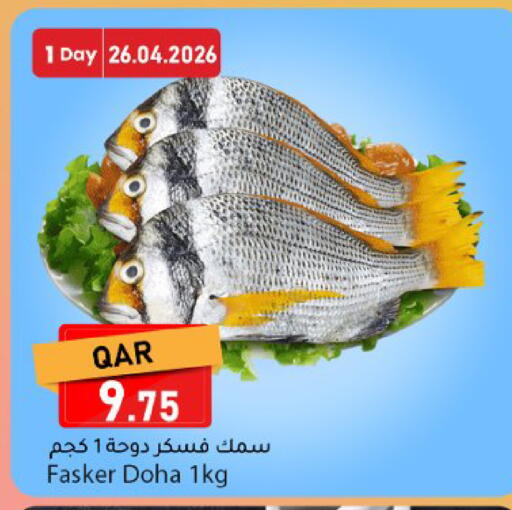 available at دانا ماركت in قطر - الريان