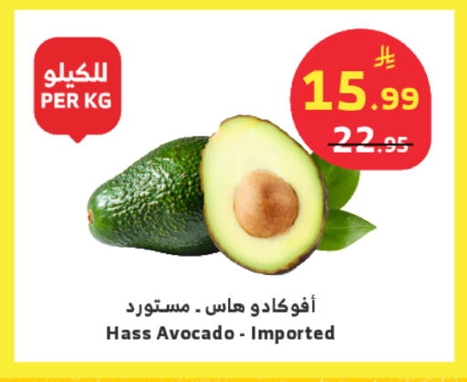 Avocado available at Al Raya in KSA, Saudi Arabia, Saudi - Tabuk